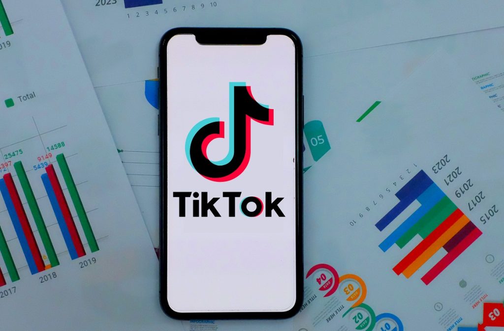 TikTok Analytics Tool